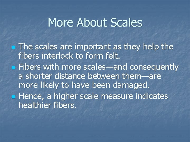 More About Scales n n n The scales are important as they help the