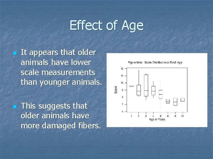 Effect of Age n n It appears that older animals have lower scale measurements