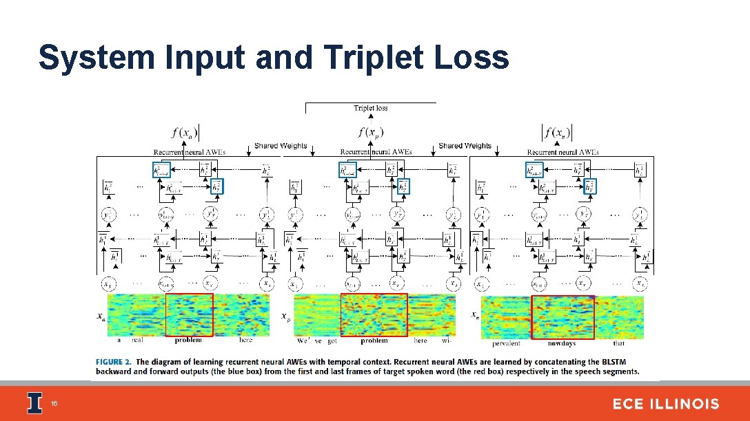 System Input and Triplet Loss 16 