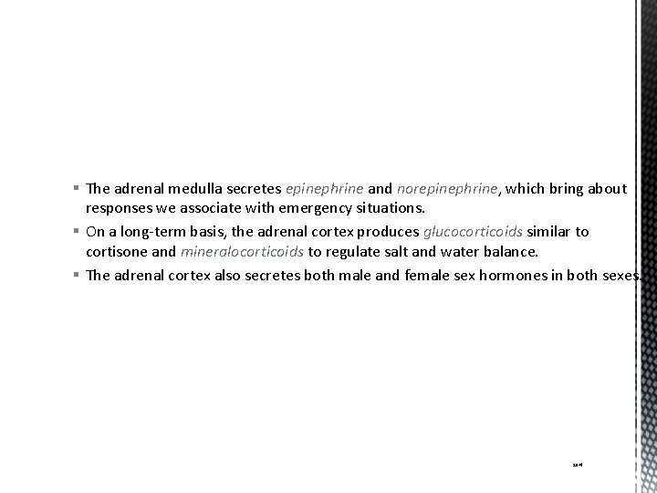 § The adrenal medulla secretes epinephrine and norepinephrine, which bring about responses we associate