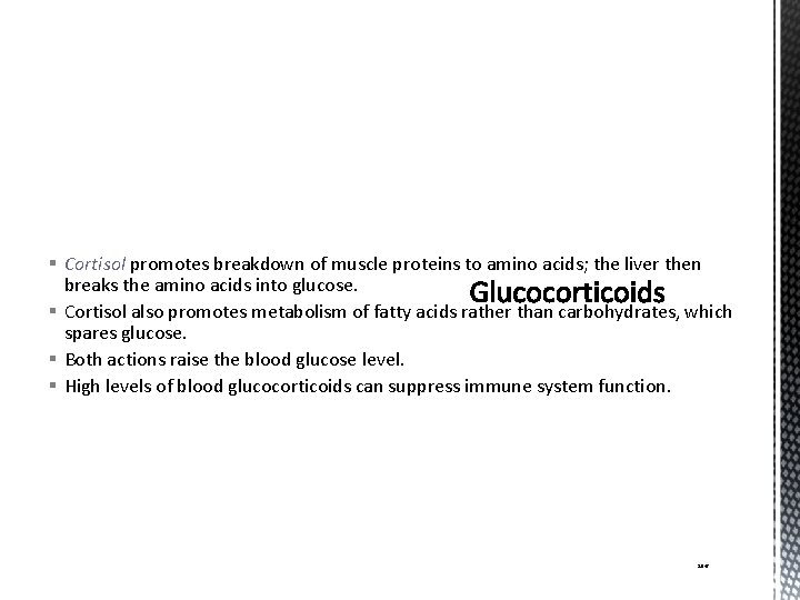 § Cortisol promotes breakdown of muscle proteins to amino acids; the liver then breaks
