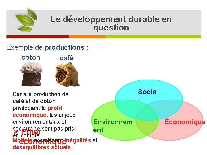 Le développement durable en question Exemple de productions : coton café Dans la production