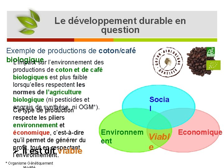 Le développement durable en question Exemple de productions de coton/café biologique L’impact sur l’environnement