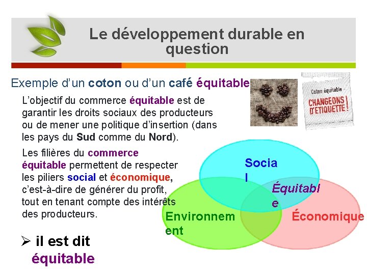 Le développement durable en question Exemple d’un coton ou d’un café équitable L’objectif du
