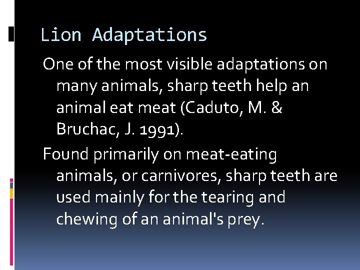 Lion Adaptations One of the most visible adaptations on many animals, sharp teeth help