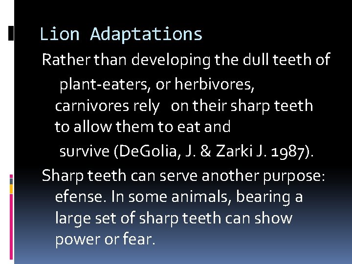 Lion Adaptations Rather than developing the dull teeth of plant-eaters, or herbivores, carnivores rely