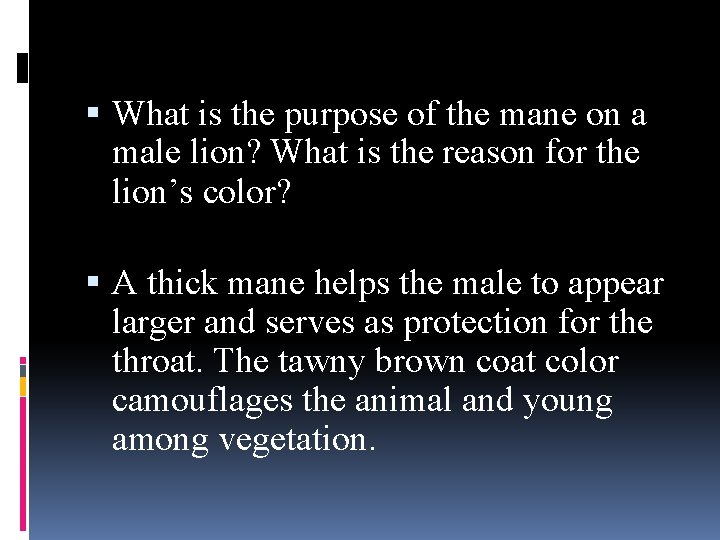  What is the purpose of the mane on a male lion? What is