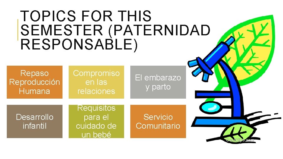 TOPICS FOR THIS SEMESTER (PATERNIDAD RESPONSABLE) Repaso Reproducción Humana Compromiso en las relaciones El