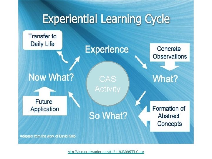 CAS Activity http: //yiscas. pbworks. com/f/1211936095/ELC. jpg 
