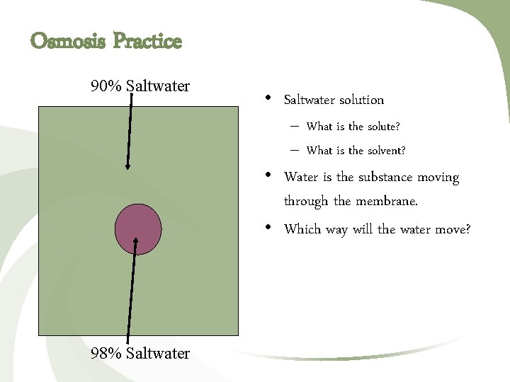 Osmosis Practice 90% Saltwater • Saltwater solution – What is the solute? – What