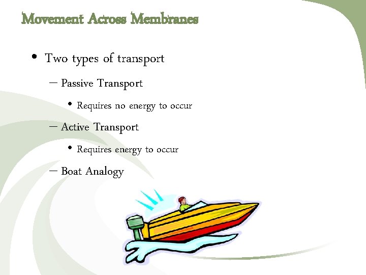 Movement Across Membranes • Two types of transport – Passive Transport • Requires no