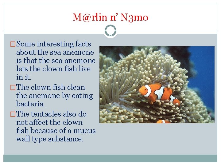 M@rlin n’ N 3 mo �Some interesting facts about the sea anemone is that