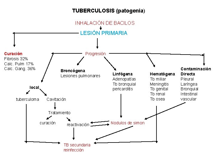 TUBERCULOSIS (patogenia) INHALACIÓN DE BACILOS LESIÓN PRIMARIA Curación Fibrosis 32% Calc. Pulm 17% Calc.