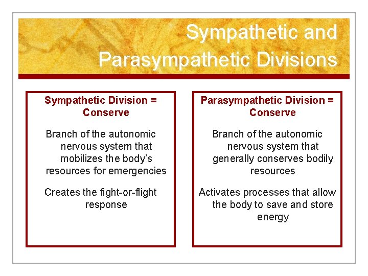 Sympathetic and Parasympathetic Divisions Sympathetic Division = Conserve Branch of the autonomic nervous system