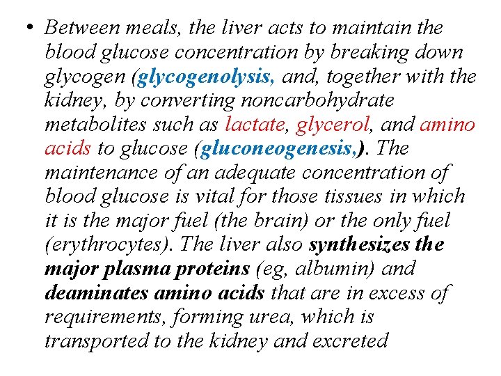  • Between meals, the liver acts to maintain the blood glucose concentration by