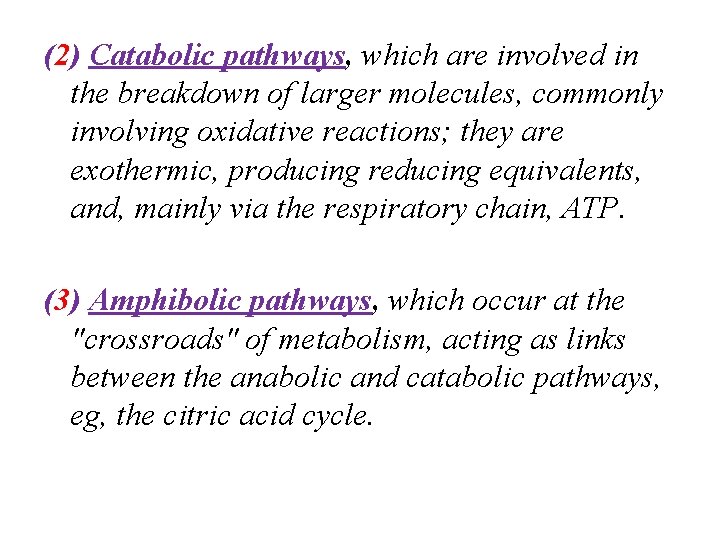 (2) Catabolic pathways, which are involved in the breakdown of larger molecules, commonly involving