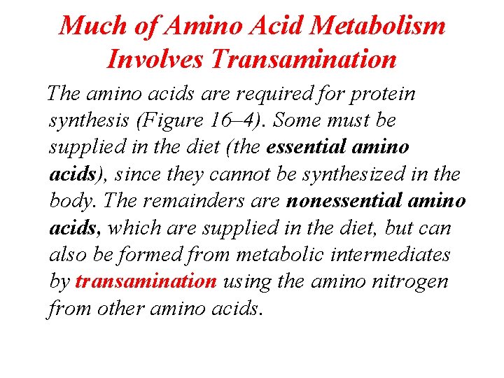 Much of Amino Acid Metabolism Involves Transamination The amino acids are required for protein