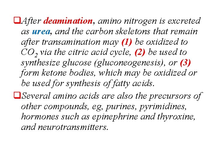 q. After deamination, amino nitrogen is excreted as urea, and the carbon skeletons that
