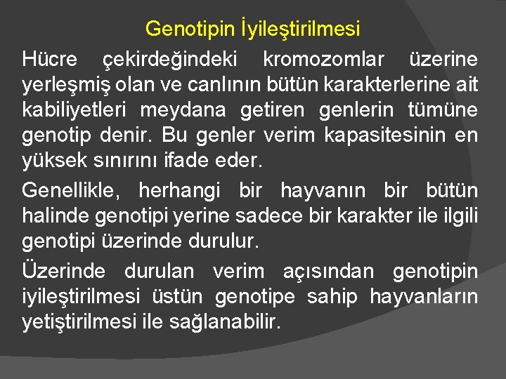 Genotipin İyileştirilmesi Hücre çekirdeğindeki kromozomlar üzerine yerleşmiş olan ve canlının bütün karakterlerine ait kabiliyetleri