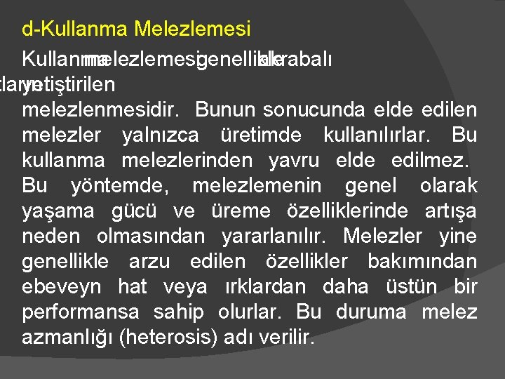 d-Kullanma Melezlemesi Kullanma melezlemesigenellikle akrabalı tların yetiştirilen melezlenmesidir. Bunun sonucunda elde edilen melezler yalnızca