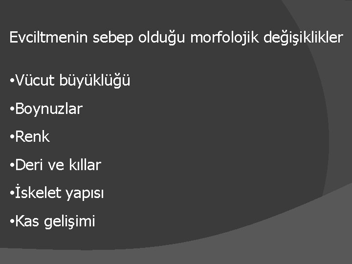 Evciltmenin sebep olduğu morfolojik değişiklikler • Vücut büyüklüğü • Boynuzlar • Renk • Deri