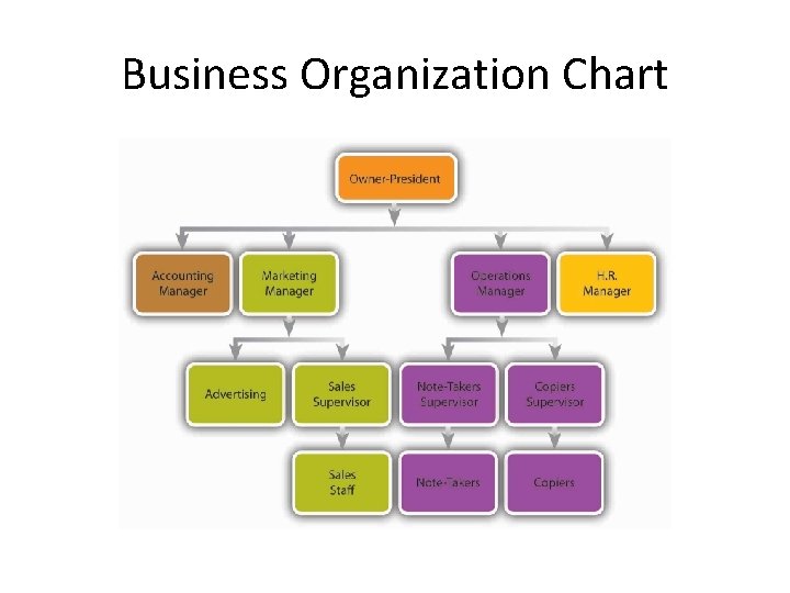 Business Organization Chart 