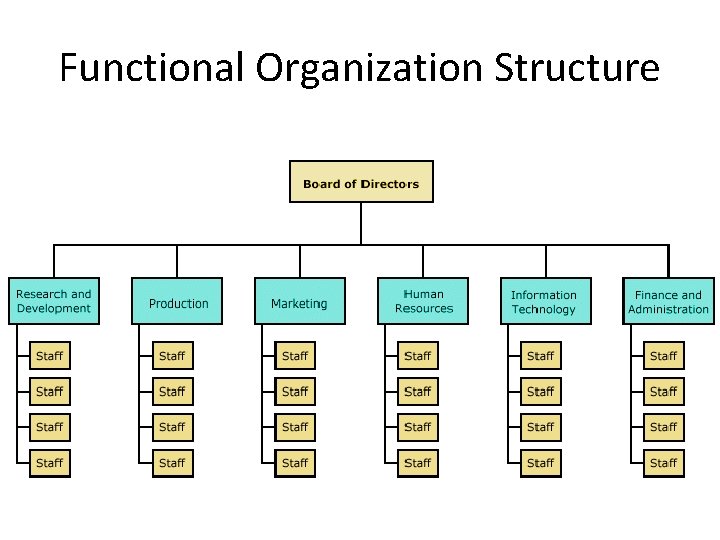 Functional Organization Structure 
