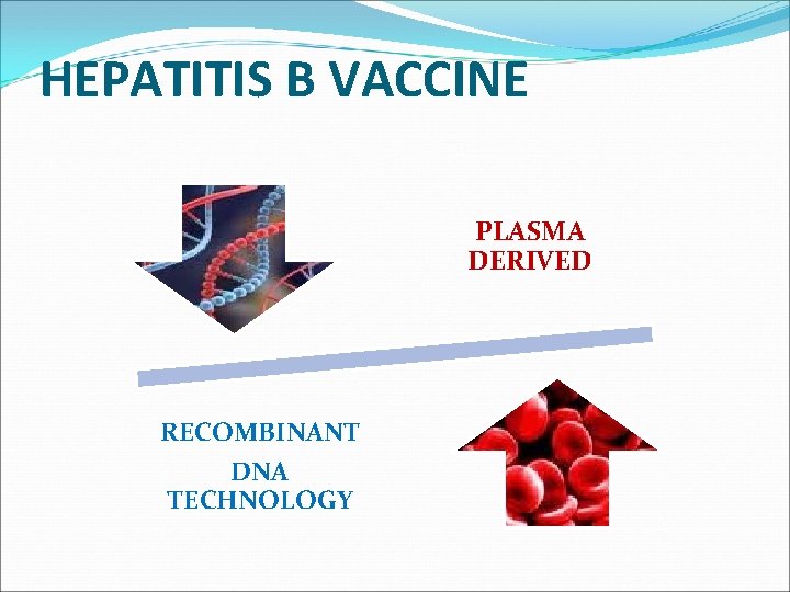 HEPATITIS B VACCINE PLASMA DERIVED RECOMBINANT DNA TECHNOLOGY 