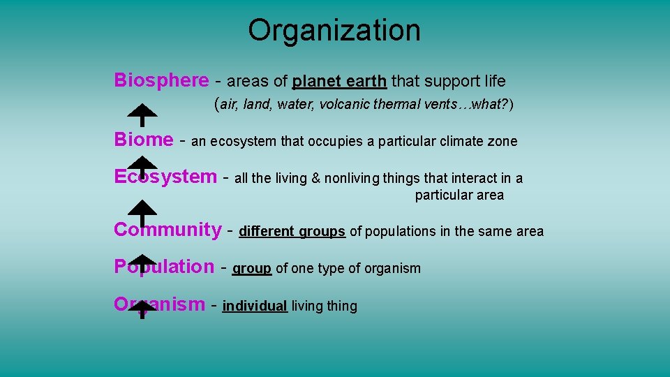 Organization Biosphere - areas of planet earth that support life (air, land, water, volcanic