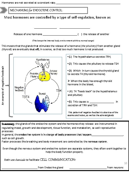 Hormones are not secreted at a constant rate; _______________________ MECHANISMS for ENDOCRINE CONTROL: Most
