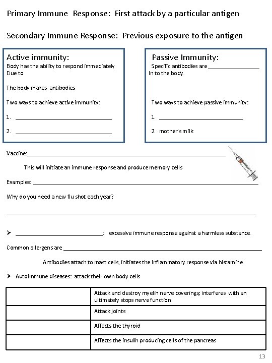Primary Immune Response: First attack by a particular antigen Secondary Immune Response: Previous exposure