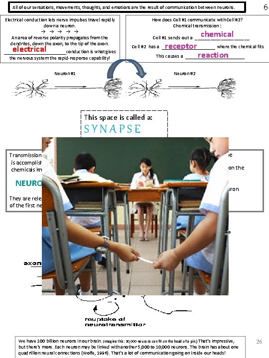 6 All of our sensations, movements, thoughts, and emotions are the result of communication