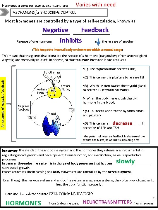 Varies with need Hormones are not secreted at a constant rate; _______________________ MECHANISMS for