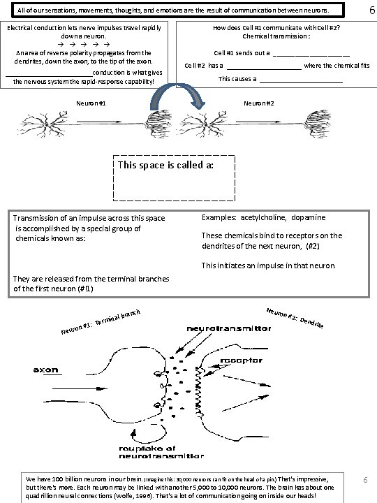 6 All of our sensations, movements, thoughts, and emotions are the result of communication