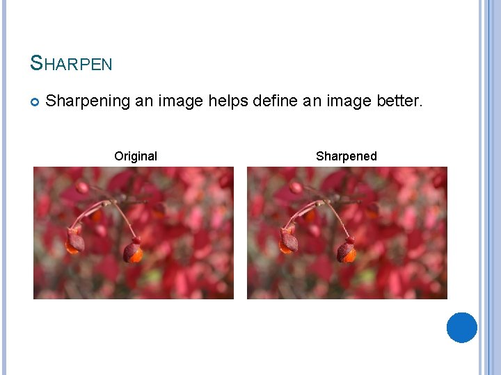 SHARPEN Sharpening an image helps define an image better. Original Sharpened 