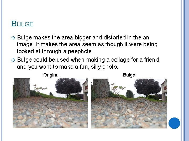 BULGE Bulge makes the area bigger and distorted in the an image. It makes