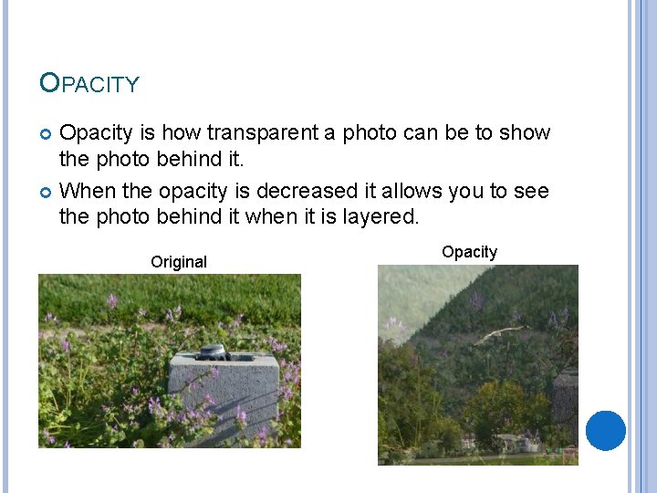 OPACITY Opacity is how transparent a photo can be to show the photo behind