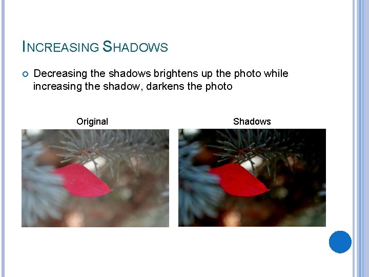 INCREASING SHADOWS Decreasing the shadows brightens up the photo while increasing the shadow, darkens