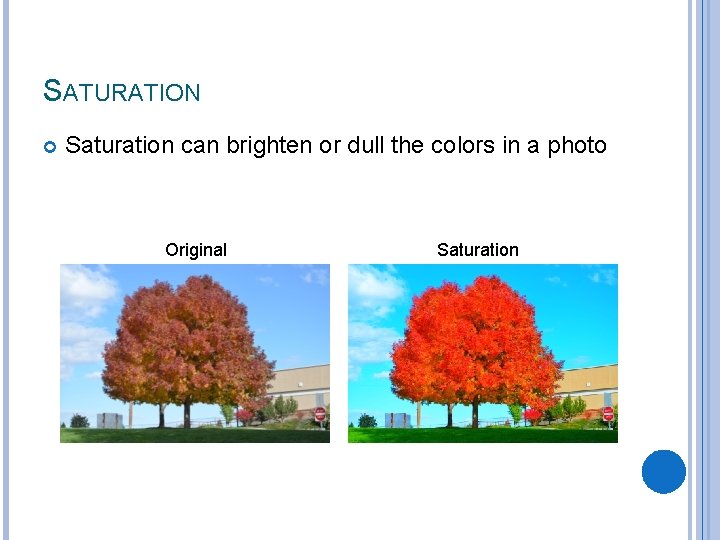 SATURATION Saturation can brighten or dull the colors in a photo Original Saturation 