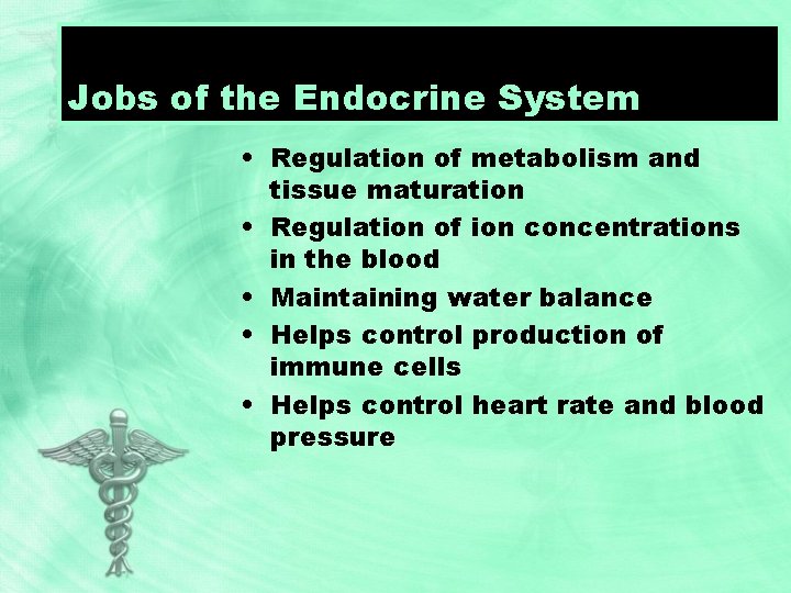 Jobs of the Endocrine System • Regulation of metabolism and tissue maturation • Regulation