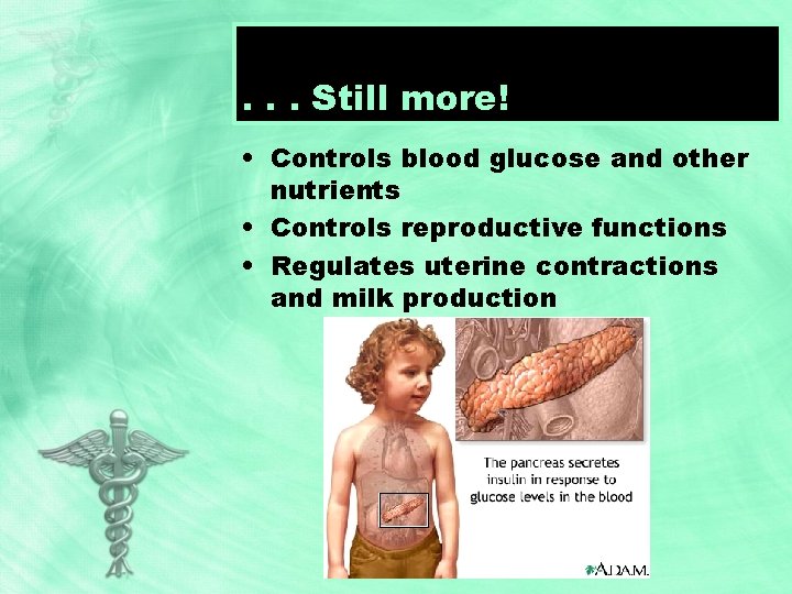 . . . Still more! • Controls blood glucose and other nutrients • Controls