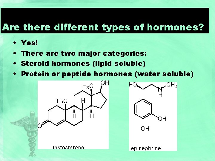 Are there different types of hormones? • • Yes! There are two major categories: