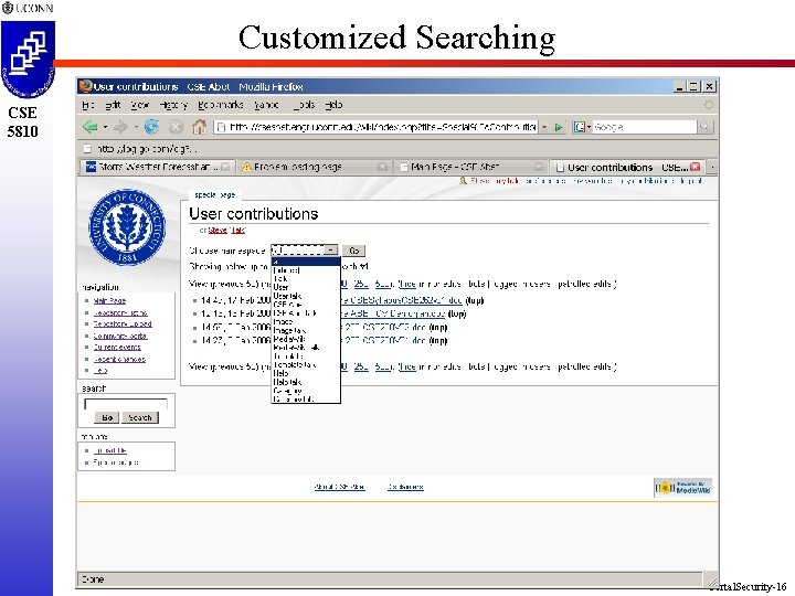 Customized Searching CSE 5810 Portal. Security-16 