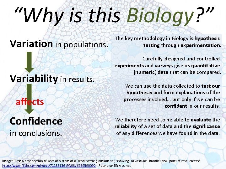 “Why is this Biology? ” Variation in populations. Variability in results. affects Confidence in