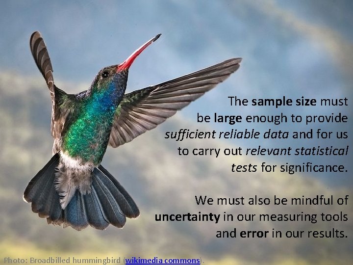The sample size must be large enough to provide sufficient reliable data and for