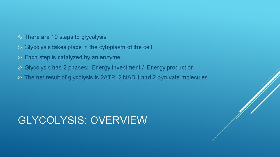  There are 10 steps to glycolysis Glycolysis takes place in the cytoplasm of