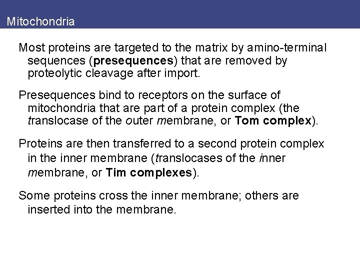 Mitochondria Most proteins are targeted to the matrix by amino-terminal sequences (presequences) that are