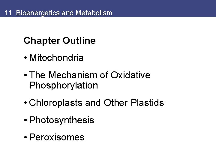 11 Bioenergetics and Metabolism Chapter Outline • Mitochondria • The Mechanism of Oxidative Phosphorylation