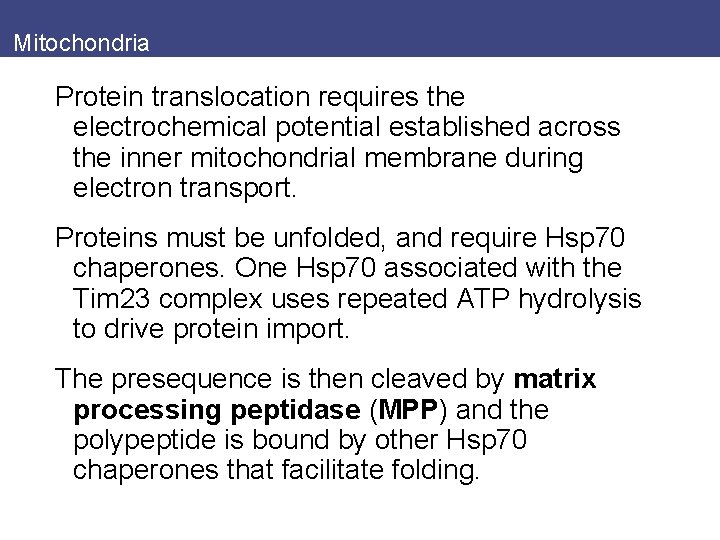 Mitochondria Protein translocation requires the electrochemical potential established across the inner mitochondrial membrane during