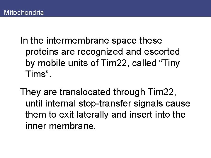Mitochondria In the intermembrane space these proteins are recognized and escorted by mobile units